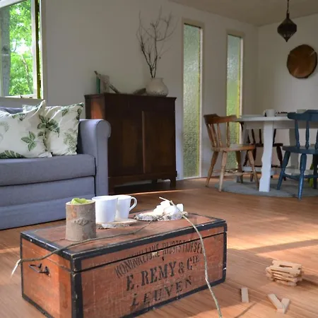 Leuk Chalet Met Trampoline En Grote Tuin Op Veluwe *
