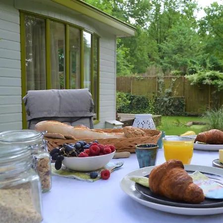 Leuk Chalet Met Trampoline En Grote Tuin Op Veluwe Chalet