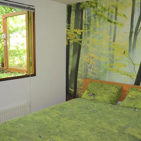 Leuk Chalet Met Trampoline En Grote Tuin Op Veluwe * Ede