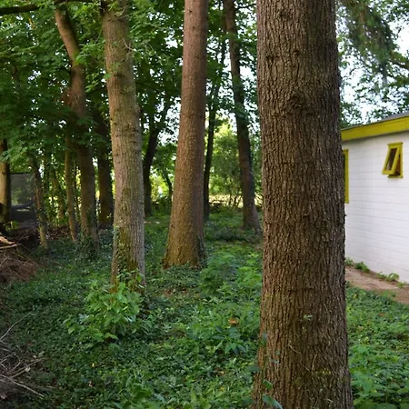 Leuk Chalet Met Trampoline En Grote Tuin Op Veluwe *